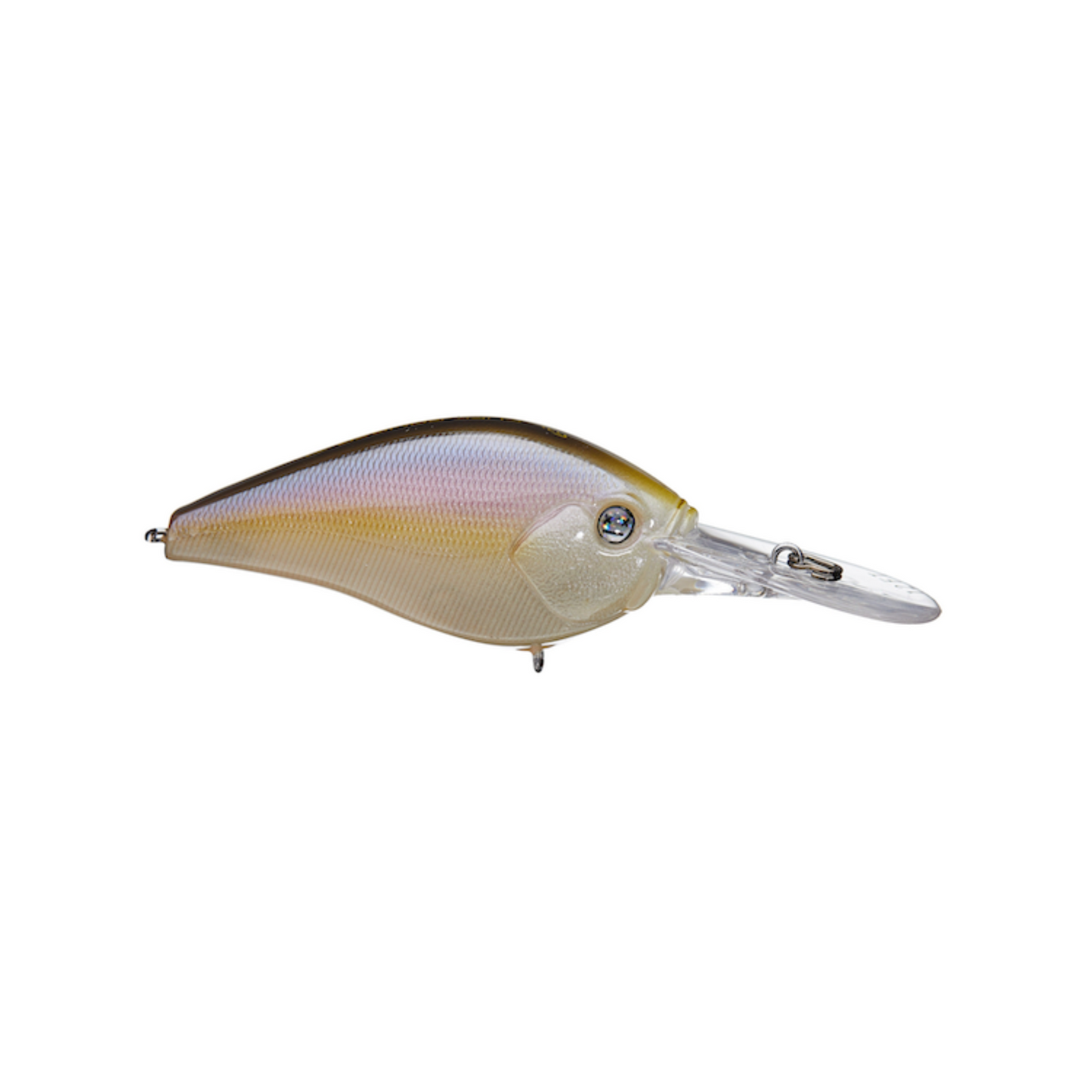 13 FISHING CLIFF BANGER CRANKBAIT 12' REGURGITATED SHAD Left Side