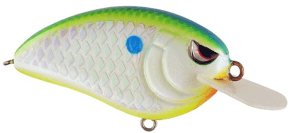 SPRO LITTLE JOHN 50 CITRUS SHAD