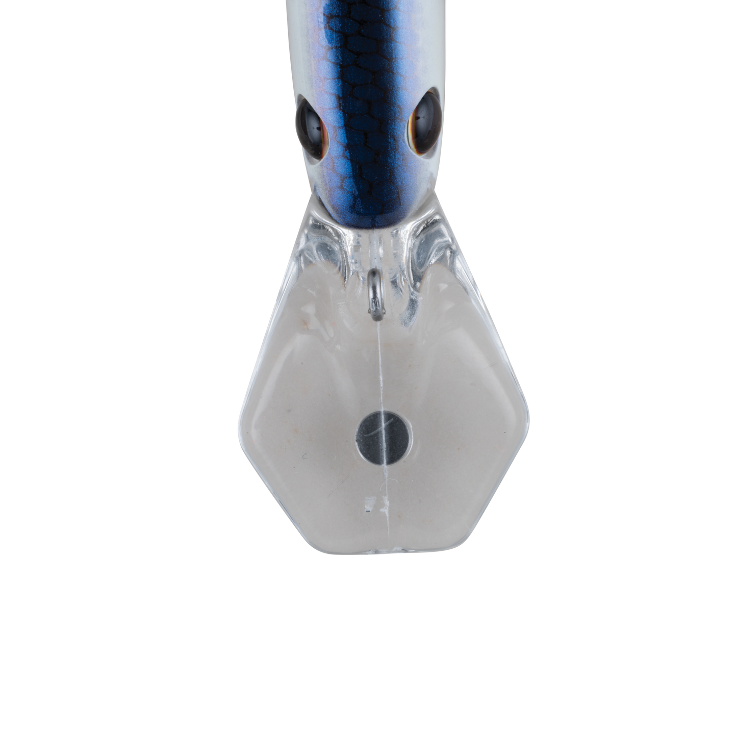 BERKLEY FRITTSIDE 7 2.5" 3/7OZ KENTUCKY BLUE