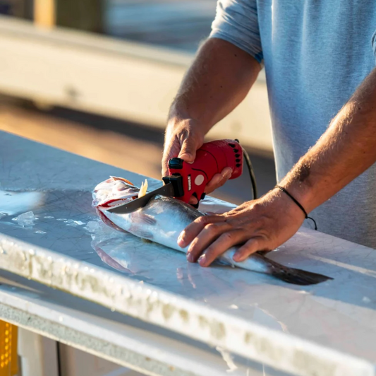 Person using a red tool on a fish on a metal surface