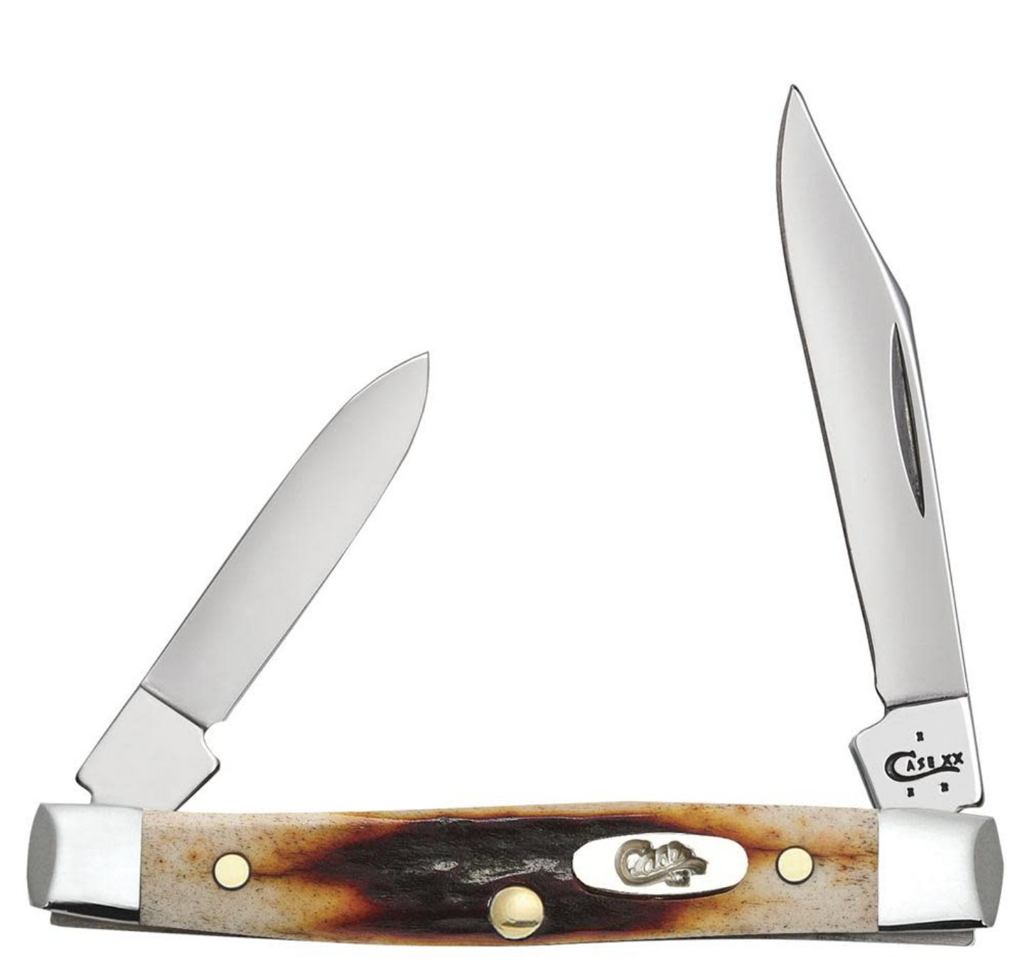 CASE PEN SMALL 2 BLADE 2 5/8" STAG