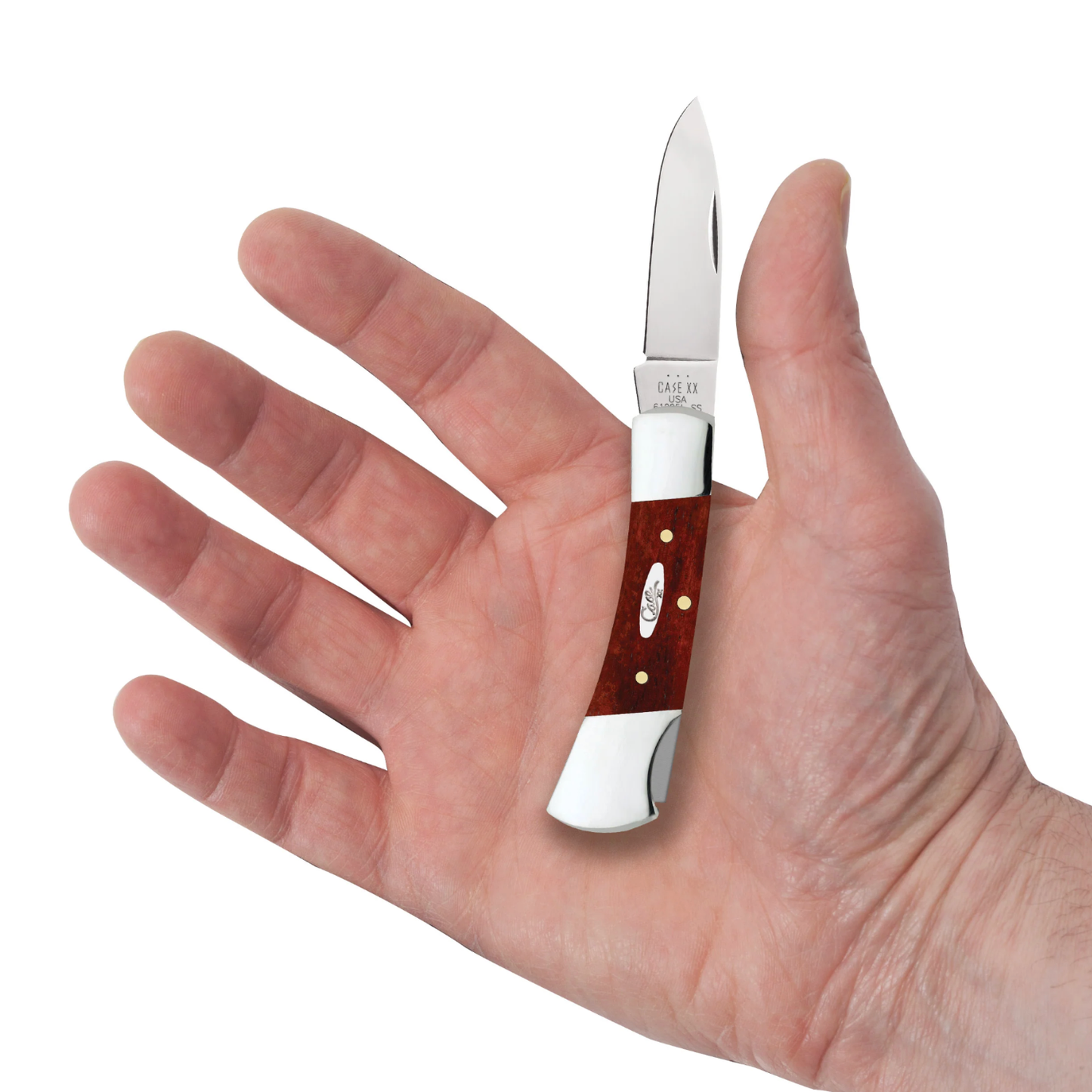 Small pocket knife with a wooden handle held in a hand on a white background