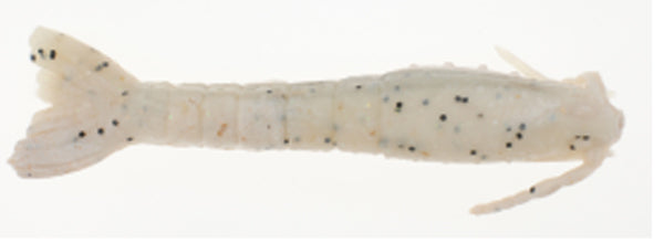 BERKLEY GULP! SALTWATER 3" SHRIMP SUGAR & SPICE 6PK