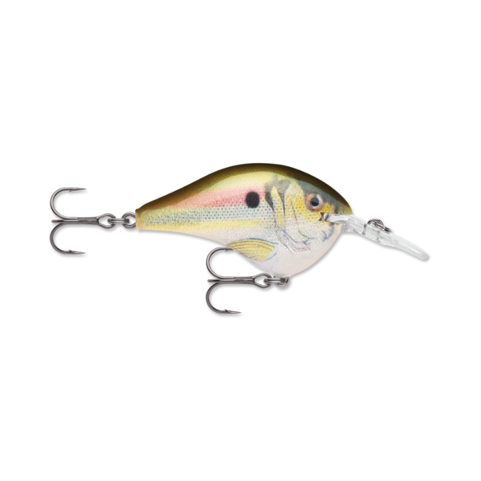 RAPALA DIVES-TO 08 SERIES LIVE RIVER SHAD