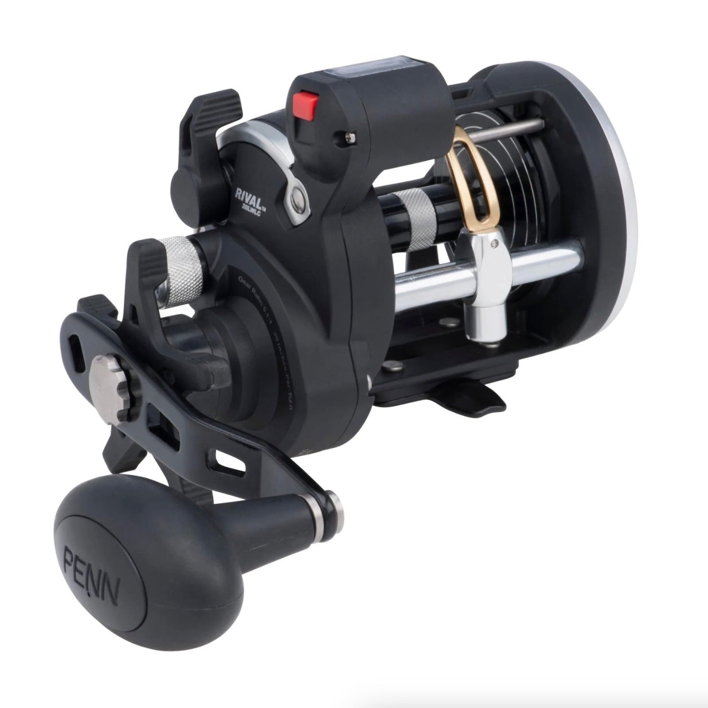 PENN RIVAL 20 LEVEL WIND LINE COUNTER CONVENTIONAL CASTING REEL 2bb 5.1