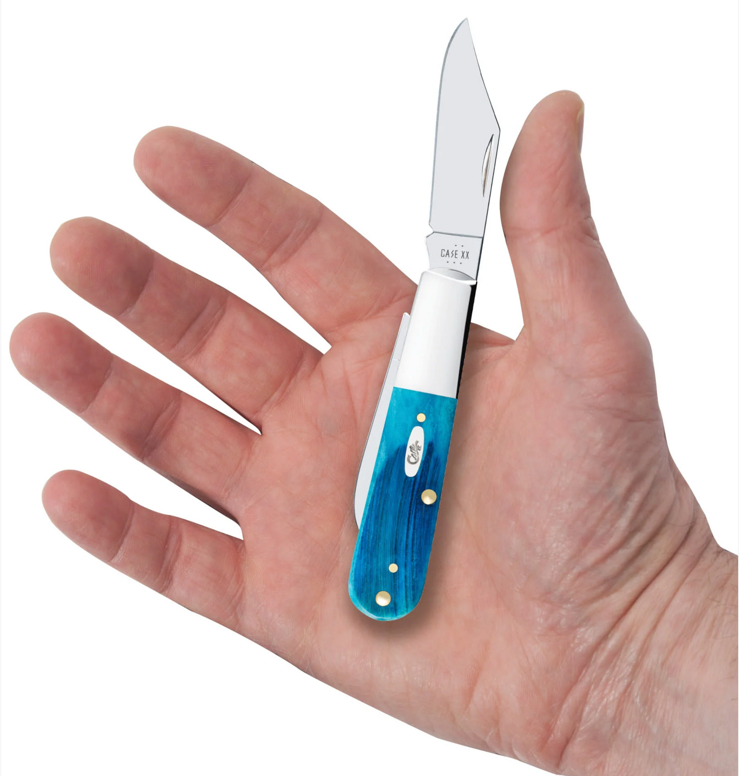 CASE BARLOW SINGLE BLADE 3 3/8" CARIBBEAN BLUE BONE