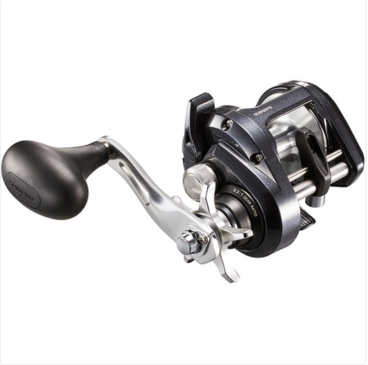 SHIMANO TEKOTA 800PGLCA SALTWATER LINE COUNTER CASTING REEL 5bb 3.9