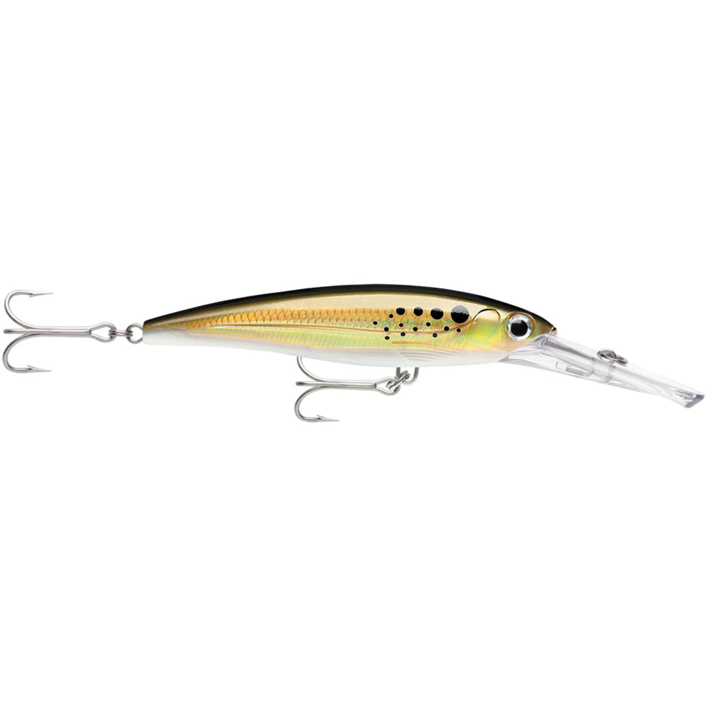 RAPALA X-RAP MAGNUM 30 BUNKER