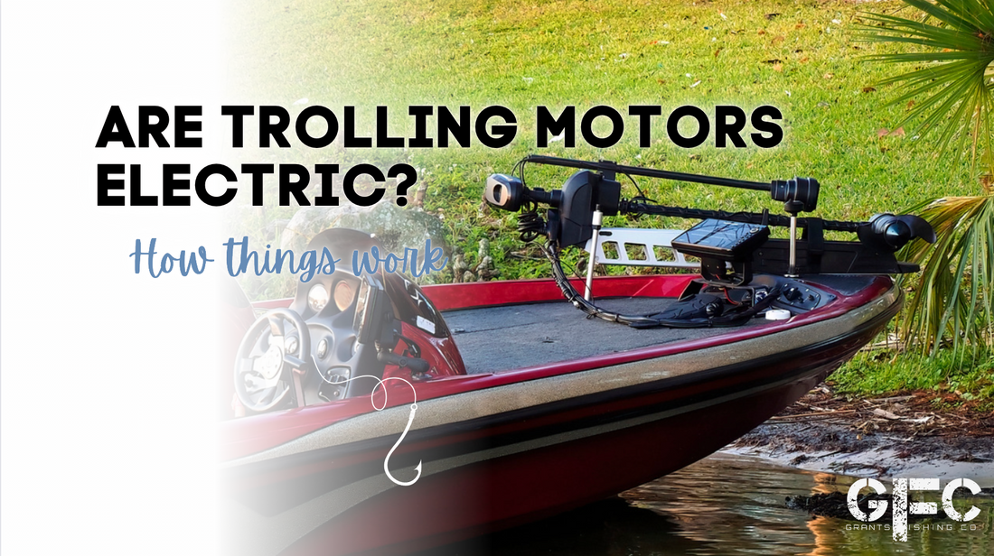 Are Trolling Motors Electric?