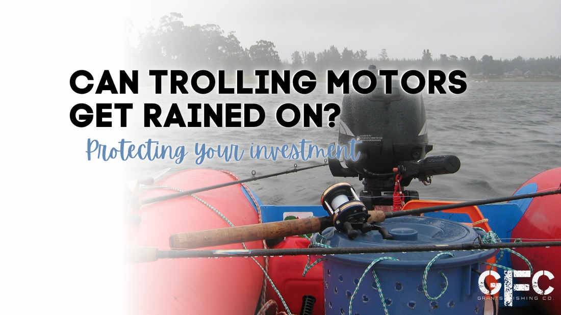 Can Trolling Motors Get Rained On?