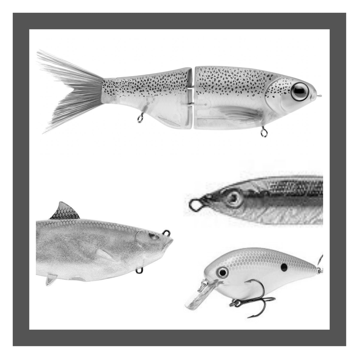 Lures. Catalog Image