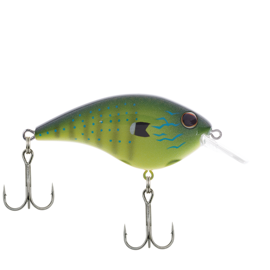 BERKLEY FRITTSIDE JUNIOR 2" 1/4OZ RUBBERTAIL JUNIOR