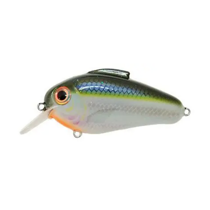 BILL LEWIS ECHO BLUE SHINER 1.75 5/8 OZ