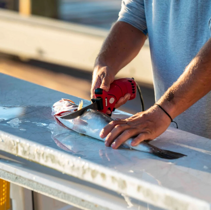 Person using a red tool on a fish on a metal surface