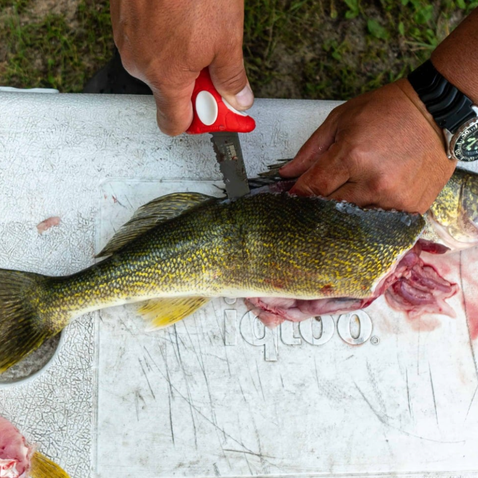 Person filleting a fish on a cutting board with a knife.