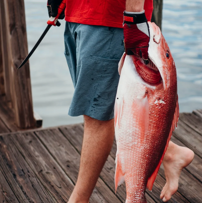 Person holding a large fish on a wooden dock by water
