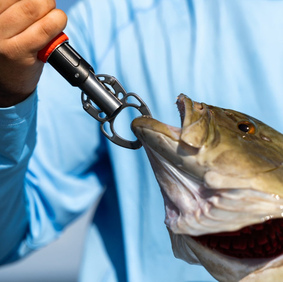 Fishing hook with a fish on a blurred blue background