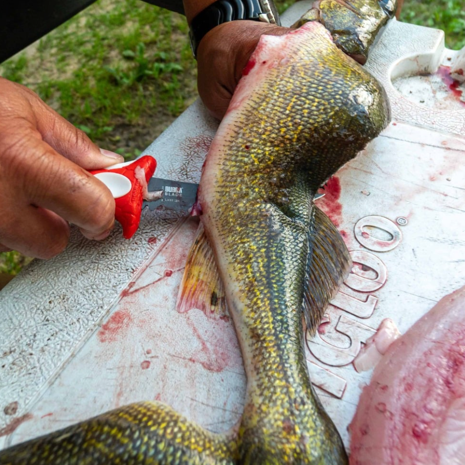 Person measuring a fish on a cutting board with a red measuring device.