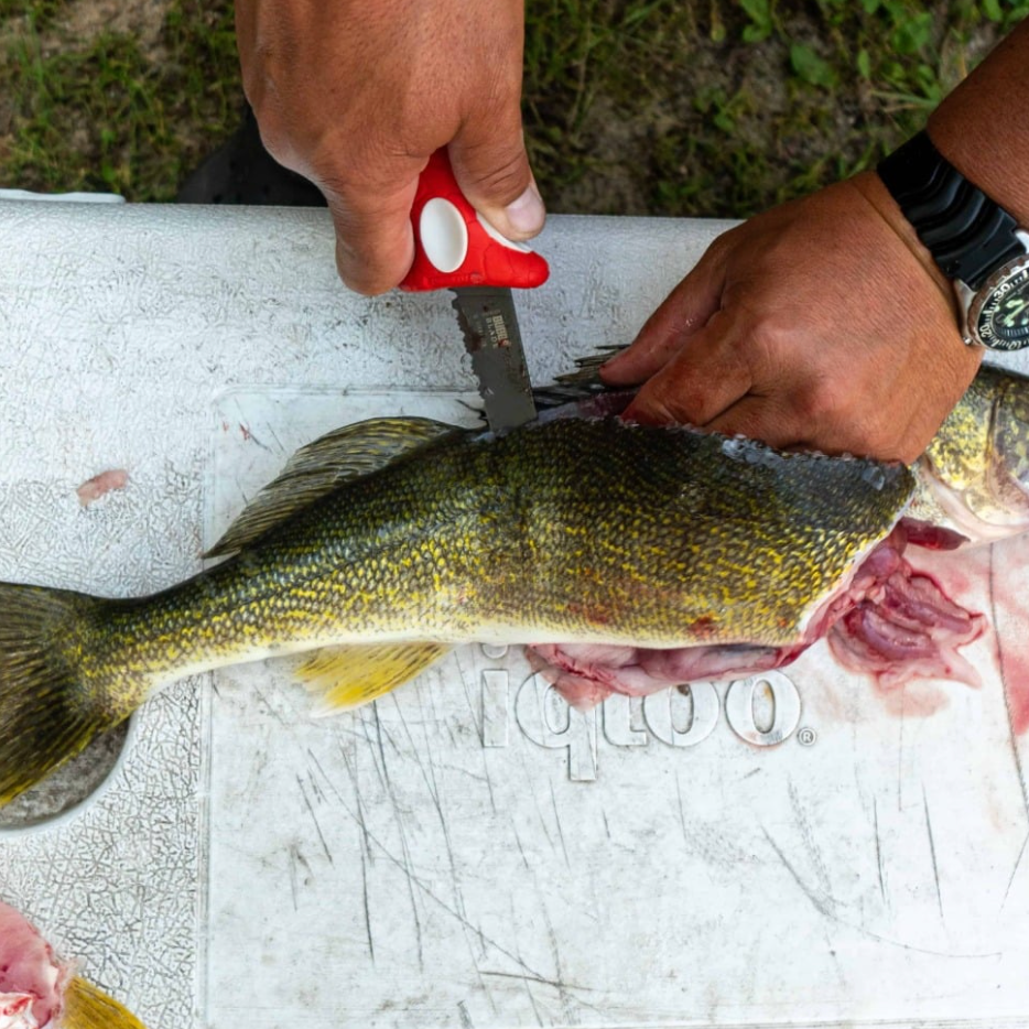 Person filleting a fish on a cutting board with a knife.