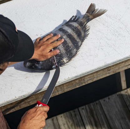 Person cutting a fish on a table with a knife