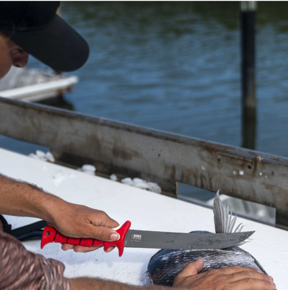Person on a boat holding a knife and a fish, with water in the background