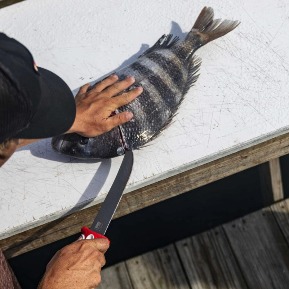 Person preparing a fish on a white surface with a knife.