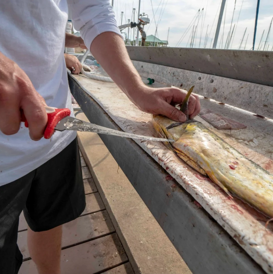 Person filleting a fish on a boat deck with tools.