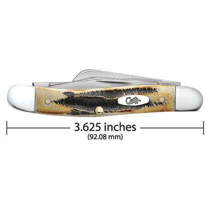 CASE CONGRESS SMALL 3 BLADE 3 5/8" 6.5 BONESTAG