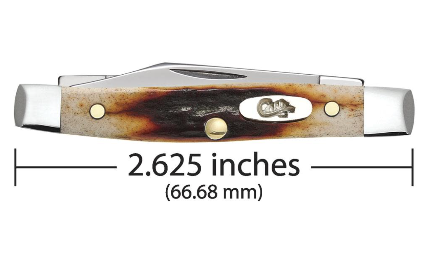 CASE PEN SMALL 2 BLADE 2 5/8" STAG