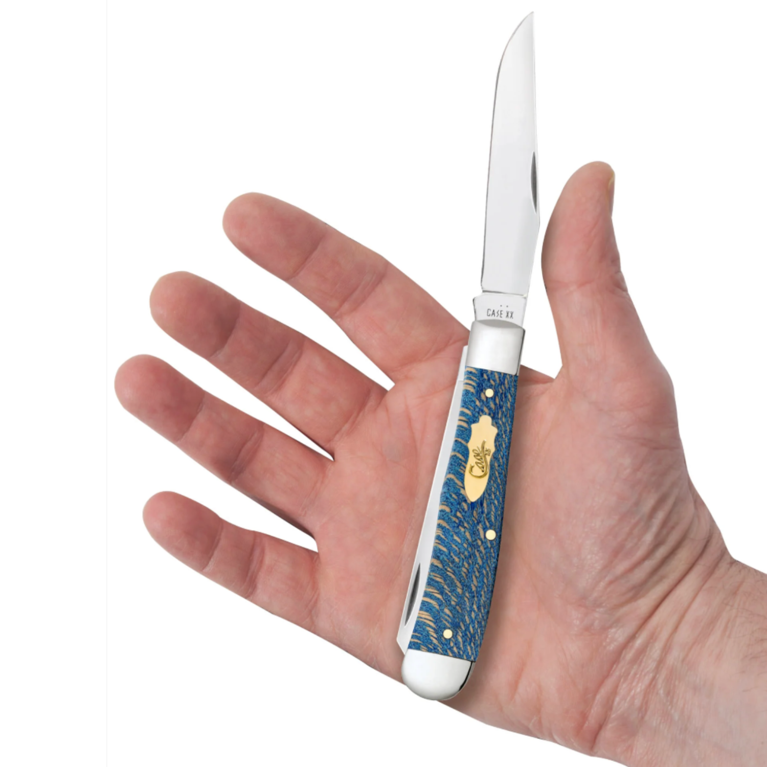 Knife with blue handle held in a hand against a white background