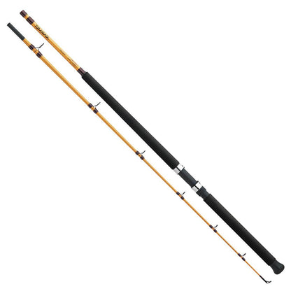 DAIWA ROD FT BOAT & SURF SPINNING ROD 2PC MFS 10'
