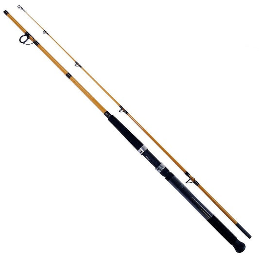 DAIWA ROD FT BOAT & SURF SPINNING ROD 10' 2PC