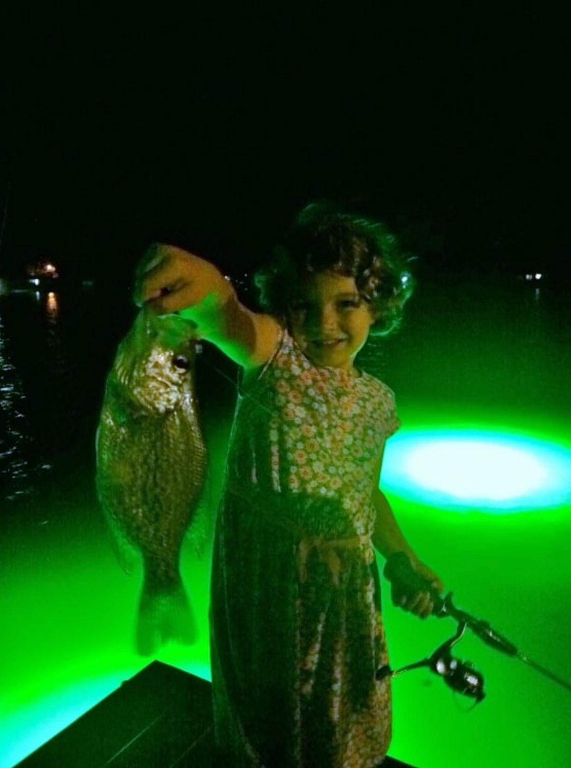 HYDRO GLOW FISH LIGHT GREEN LED 2' 42W 12V