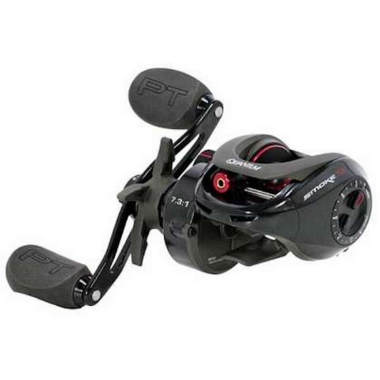 DAIWA CA80 BAITCAST REEL 9BB+1RB