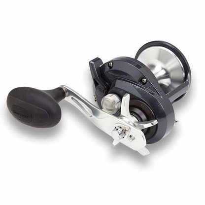 Fishing reel with 'TORIUM 20HG' branding on a white background