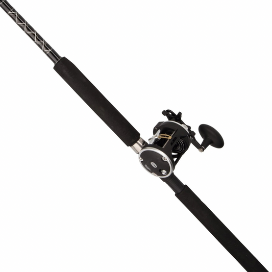 PENN CONVENTIONAL COMBO MH 6'6"