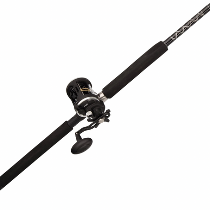 PENN CONVENTIONAL COMBO MH 6'6"