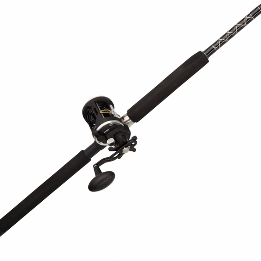 PENN CONVENTIONAL COMBO MH 6'6"