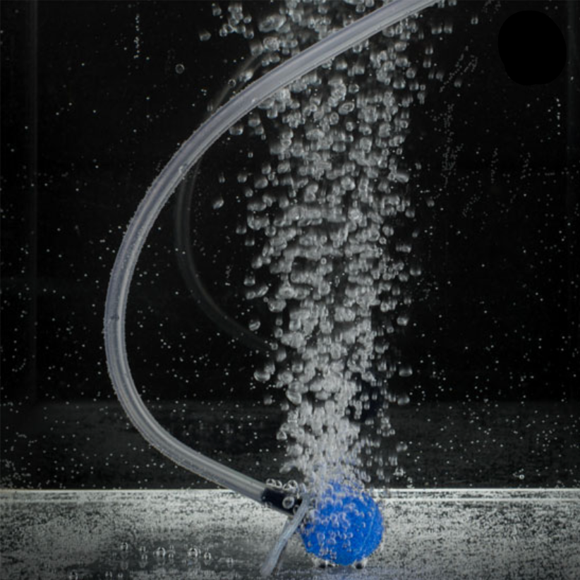 MARINE METAL BUBBLE BOX 2D BATTERIES REQUIRED