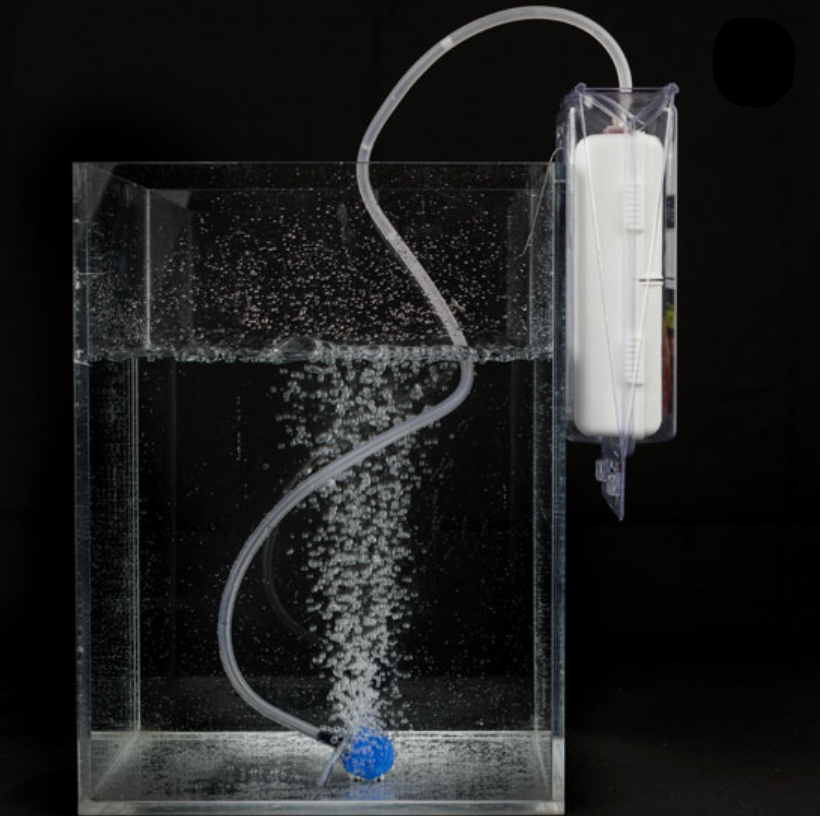 Aquarium filter with water flow and blue ball inside a clear box on a black background