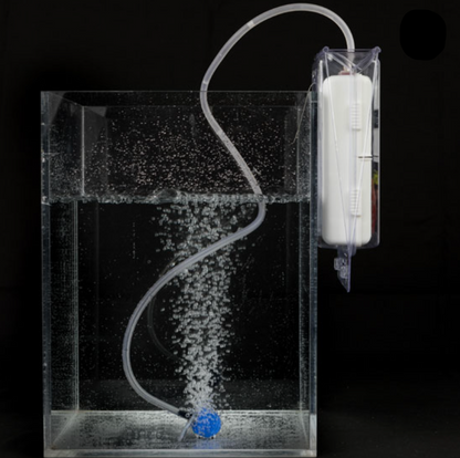 Aquarium filter with water flow and blue ball inside a clear box on a black background