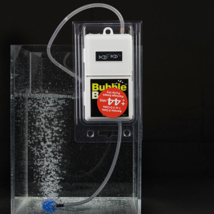Aquarium air stone with 'Bubble B' branding submerged in water.