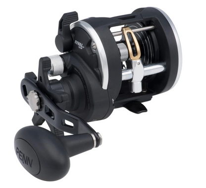 PENN RIVAL 30LW LC BAITCAST REEL 2BB 5.1 Handle