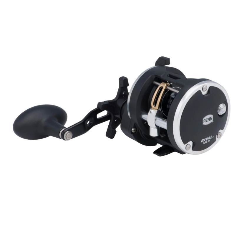 PENN RIVAL 30LW LC BAITCAST REEL 2BB 5.1 Front