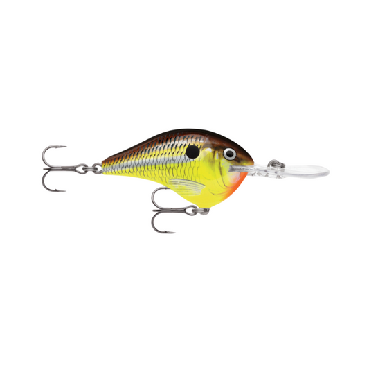 RAPALA DIVES-TO 10 SERIES HOT MUSTARD