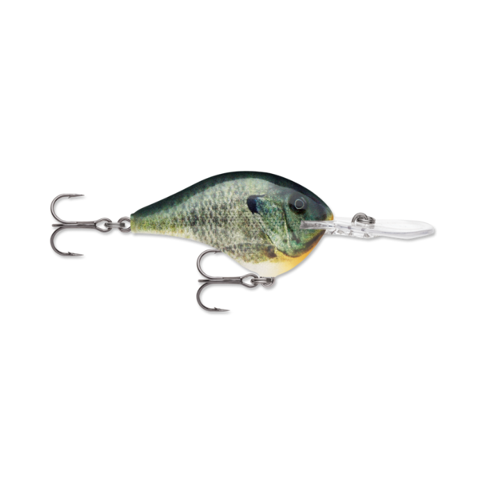 RAPALA DIVES-TO 10 SERIES LIVE BLUEGILL