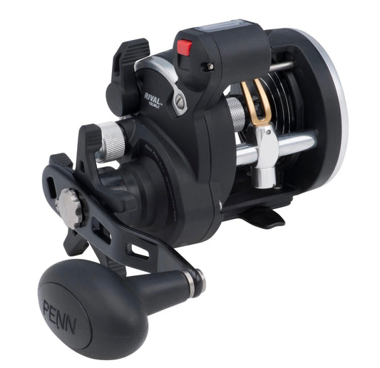 PENN RIVAL 15 LEVEL WIND LINE COUNTER CONVENTIONAL CASTING REEL 2bb 5.1