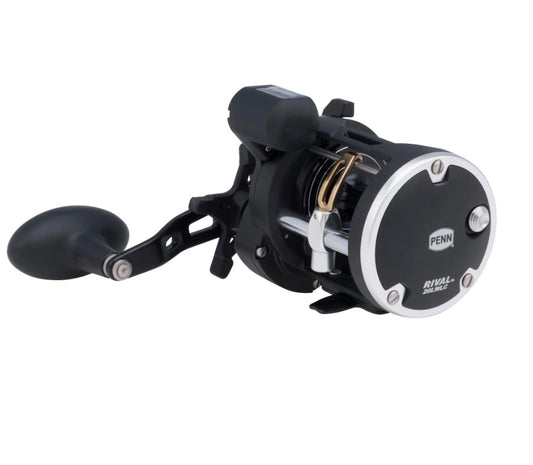 PENN RIVAL 20 LEVEL WIND LINE COUNTER CONVENTIONAL CASTING REEL 2bb 5.1