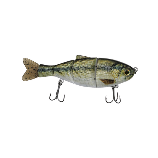 GFC MULTI SEGMENTED LURE