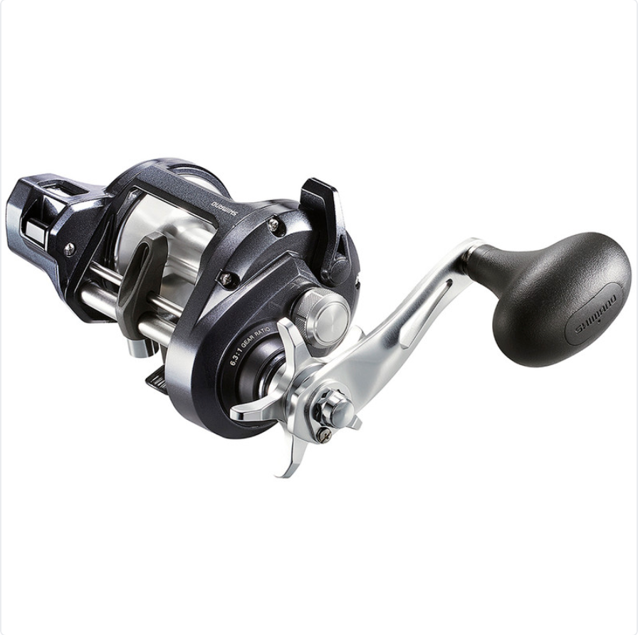 SHIMANO TEKOTA 501HGLCA 6.3 4BB SALTWATER L CENTER LH